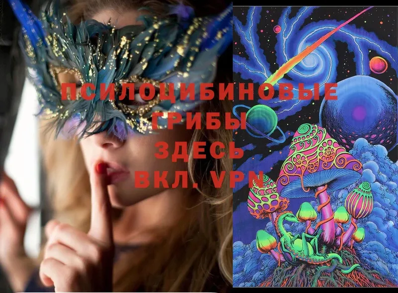 купить   Мамадыш  OMG ссылки  Галлюциногенные грибы Psilocybe 